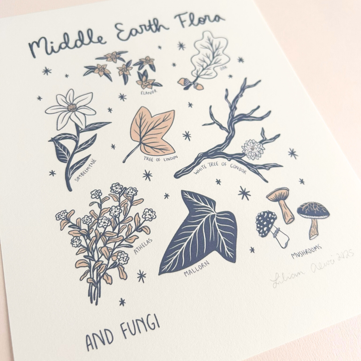 Illustration of middle earth plants and fungi with text on a light pink background