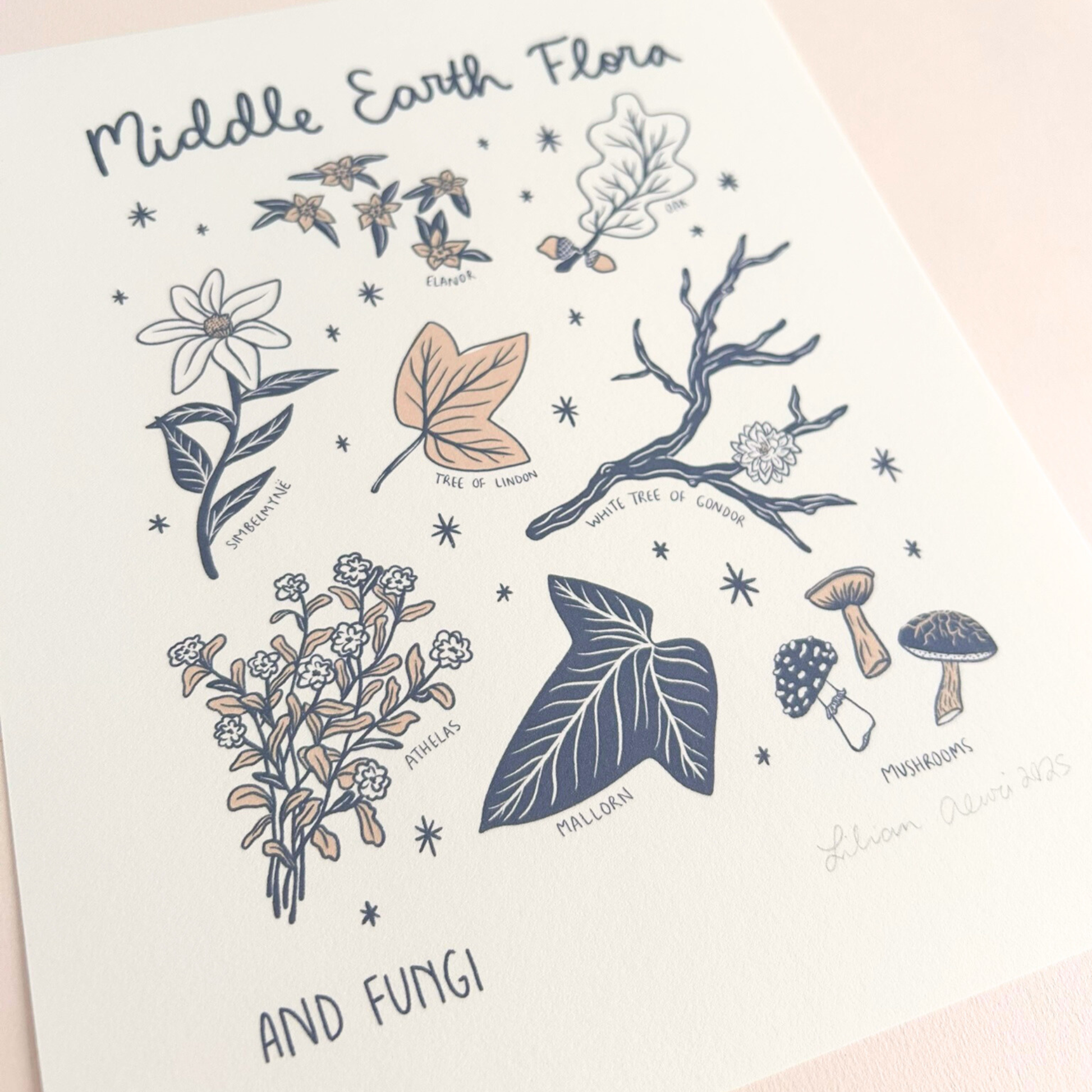 Illustration of middle earth plants and fungi with text on a light pink background