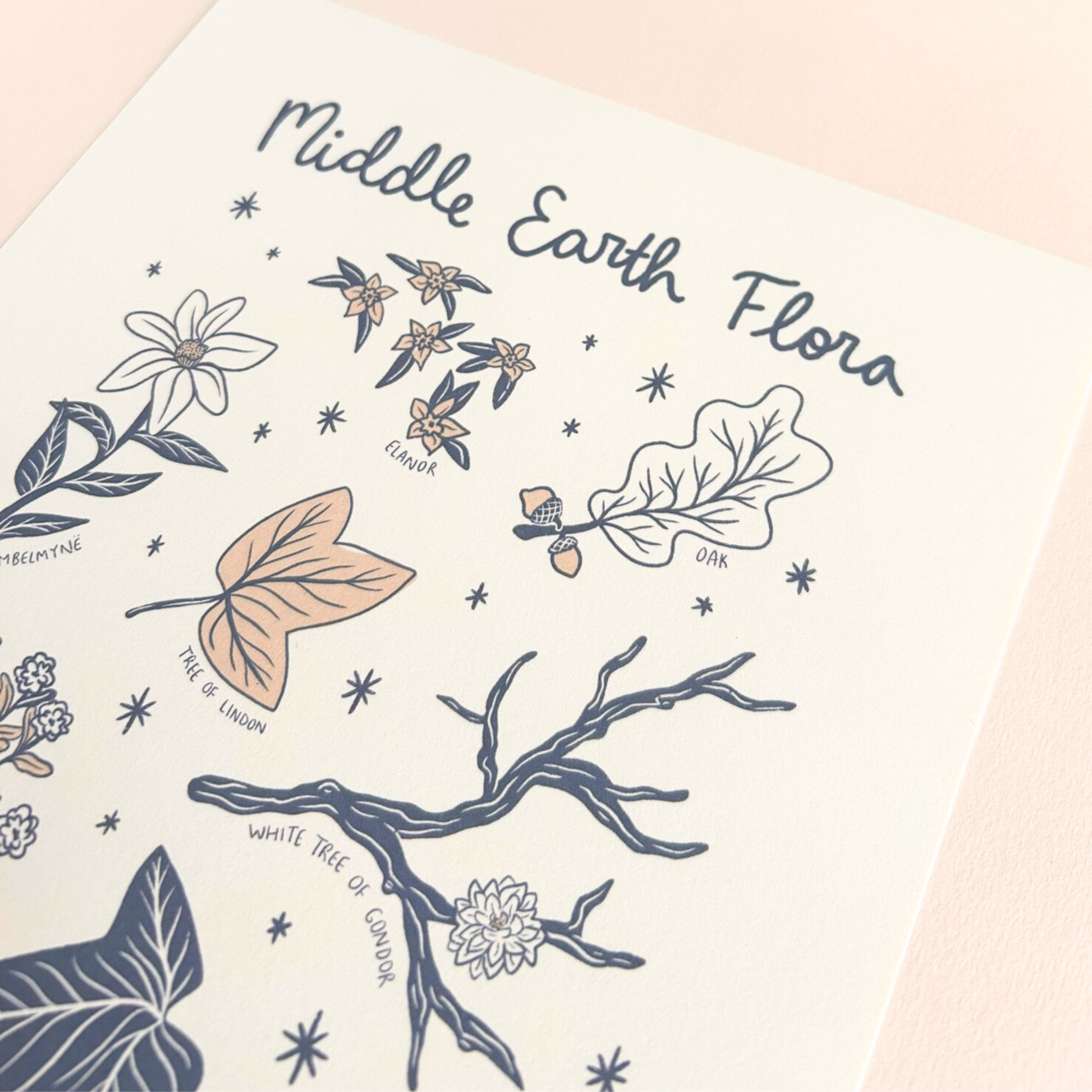 Illustration of middle earth plants and fungi with text on a light pink background